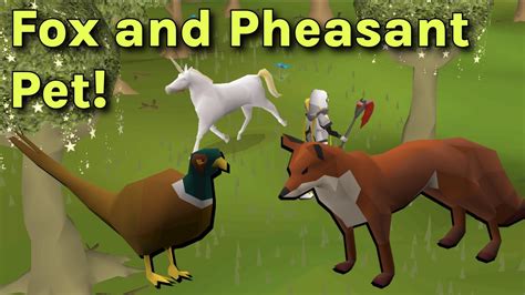 osrs pet fox